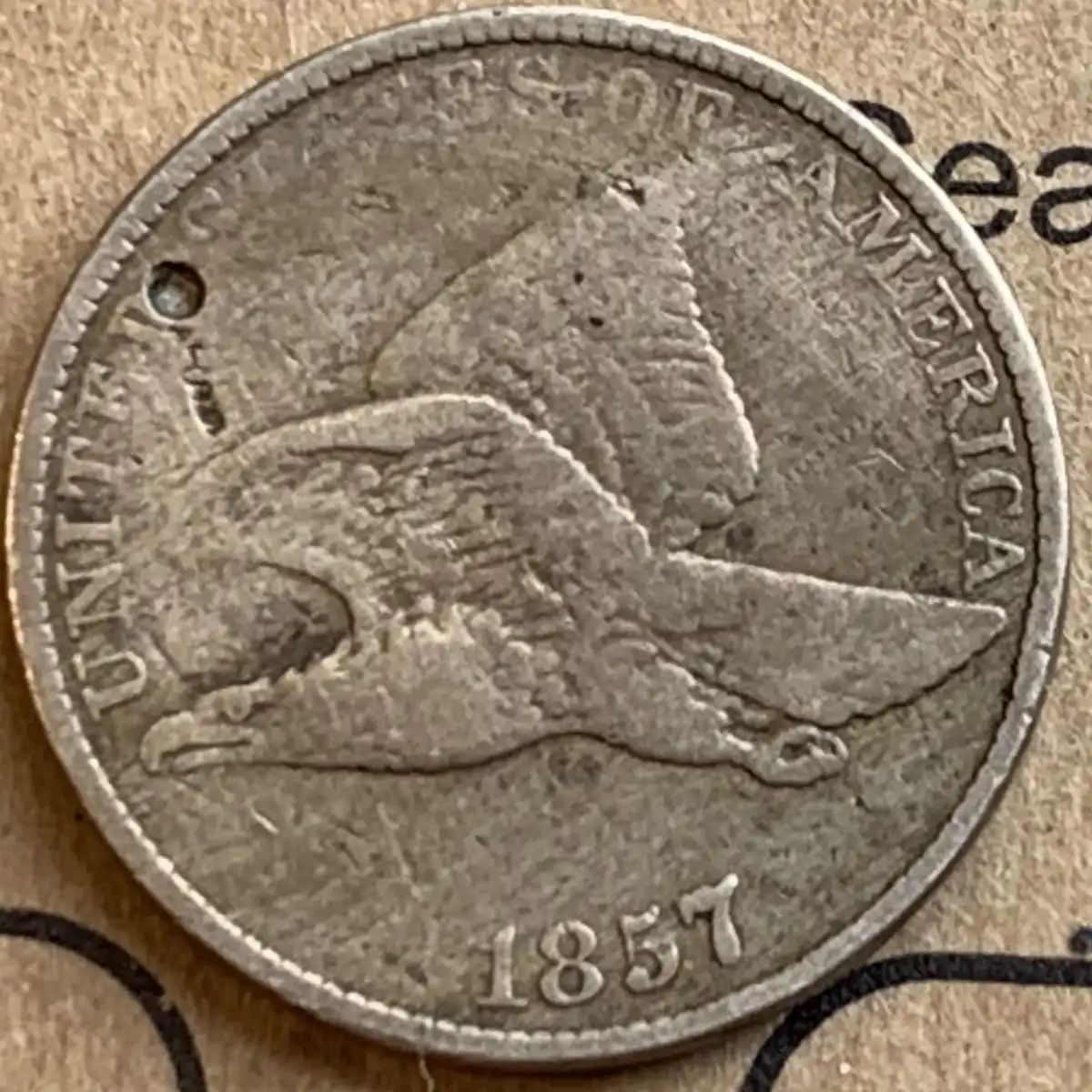 Free-1857-Flying-Eagle-Cent-Thank-You,-Brandmeister!